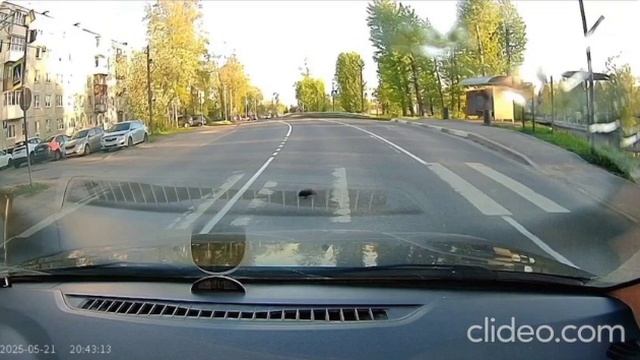 ёжик и пешеходный переход