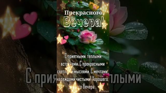 Добрый вечер💙 Хорошего отдыха и настроения 🌠💜