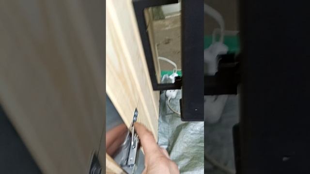1000005805.mp4