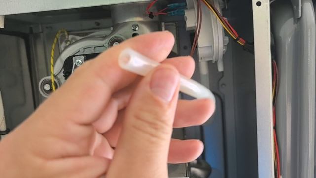 VID_20250607_105642.mp4