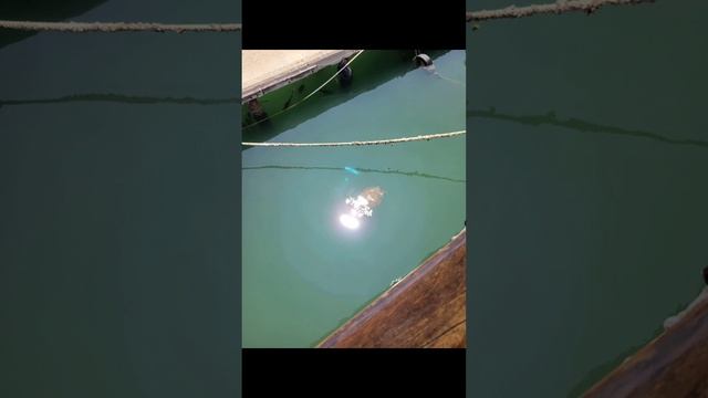 гавань старого города Мерсин.mp4
