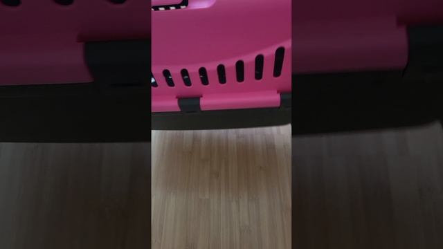 1000066430.mp4