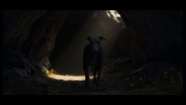 1000284751.mp4