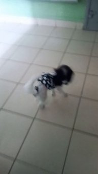 Женщина поймёт, мужчина горестно вздохнёт