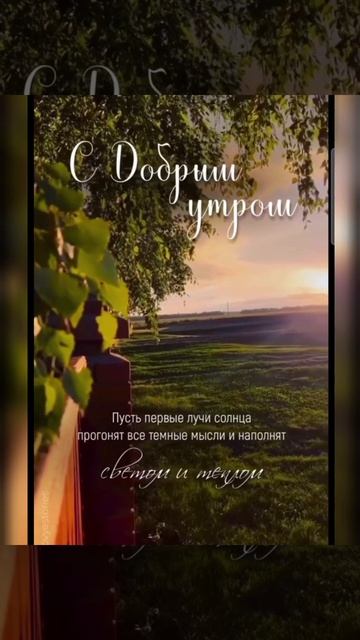 Доброе утро #доброеутро #благодарность