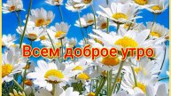Всем доброе утро 🍒🍉🫶