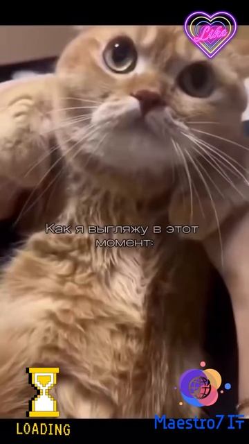 💻 Новичок на мотоцикле ...
