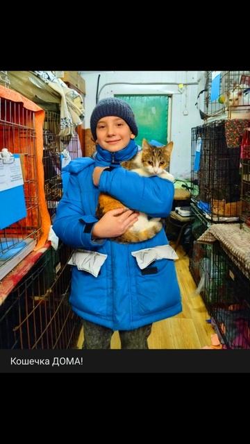 Беременная Потеряшка Обрела Дом Ура Хорошая новость