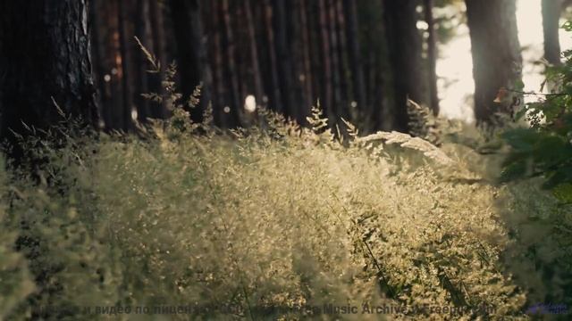 Ветер шумит под музыку так, как не слышали раньше - Somewhere Else -- Kirk Osamayo -- Season Two (OR