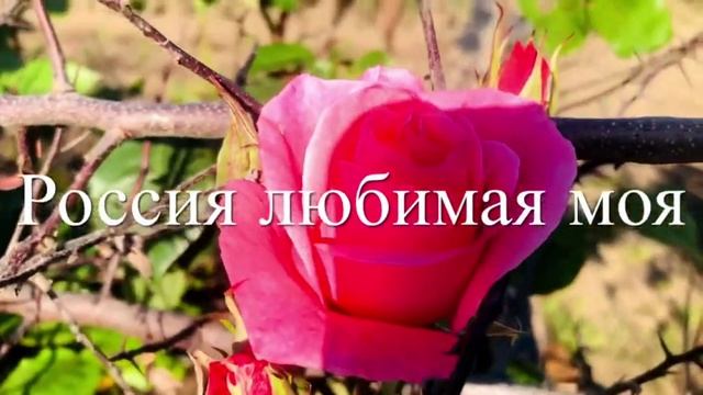 Поздравление с днём России. Музыкальная открытка.
