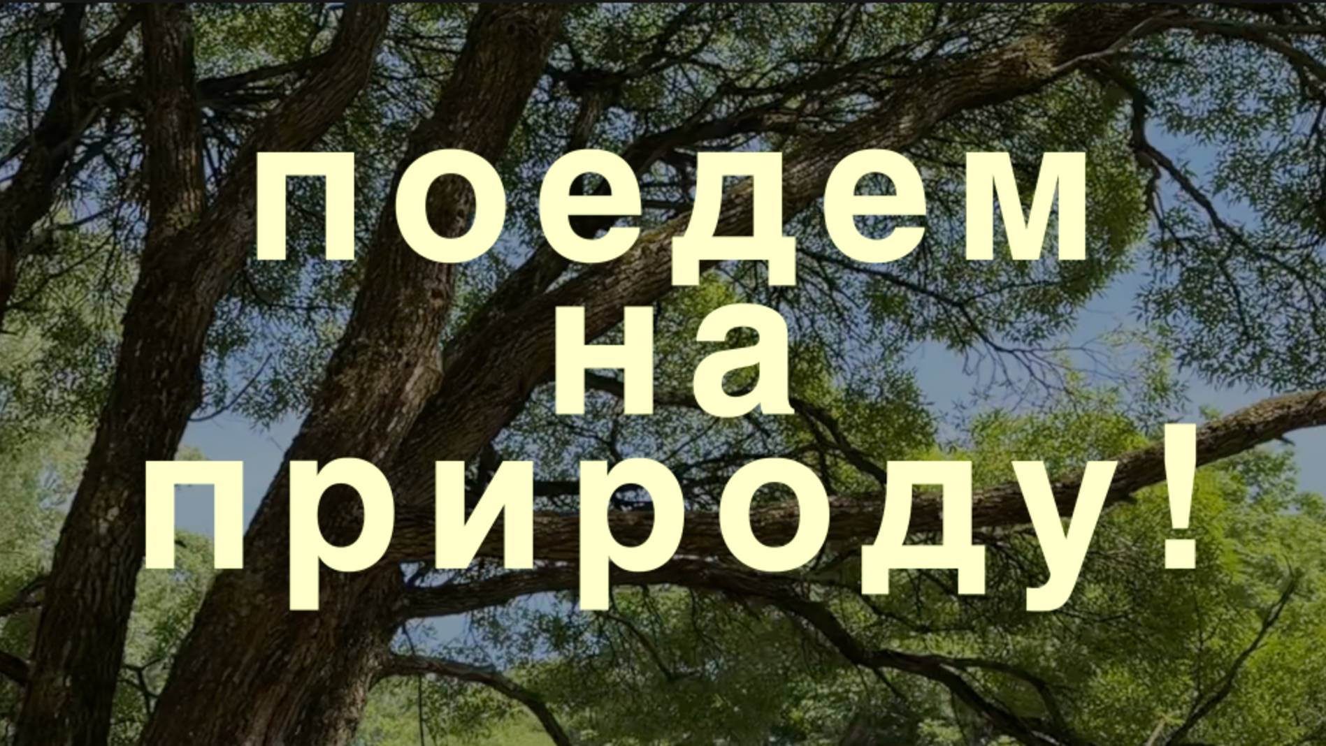 лучший способ провести выходной в Москве!  | один день в Коломенском