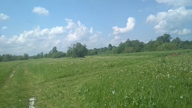 Вот так жись устроена