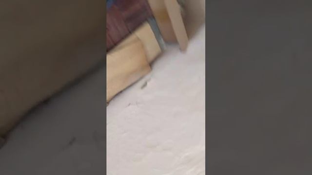 тарзанка детство