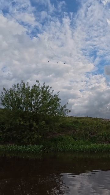 Ради таких моментов стоит идти в поход..🏕️🌄