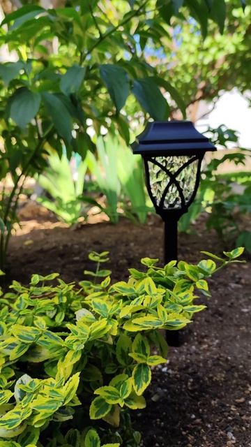 Светильники в саду.