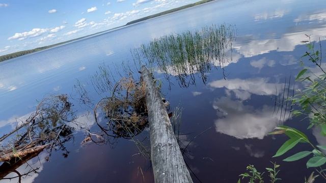 Пляж в Белой DenBan4