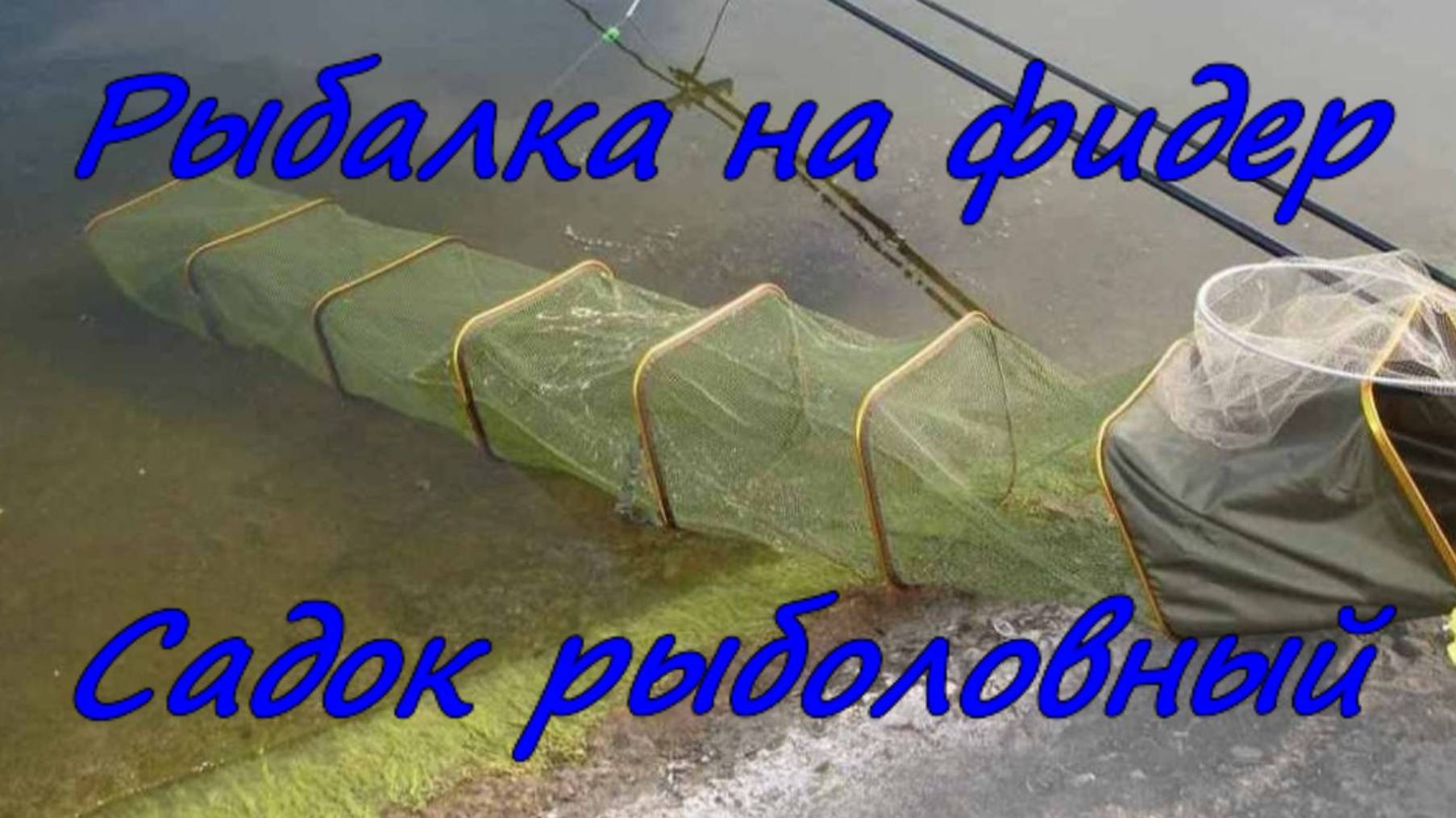 Рыбалка на фидер. Садок рыболовный.