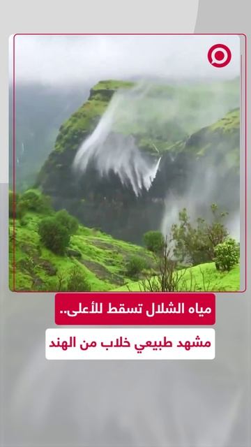 منظر طبيعي خلاب تحت تأثير الرياح