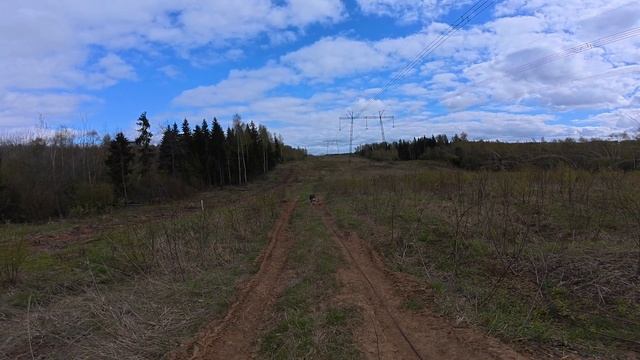 С хасуи Диком на поводке 150 метров 8.05.25