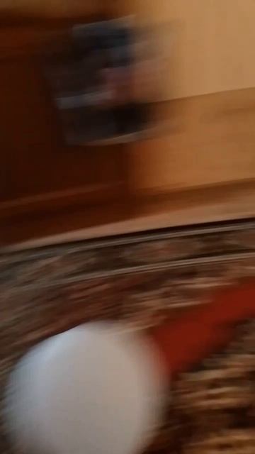 scene_output.mp4