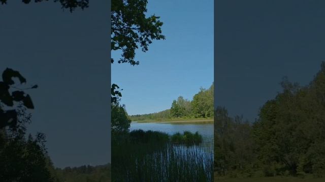 Абрамцево