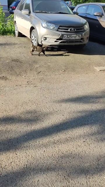 VID_20250607_200727