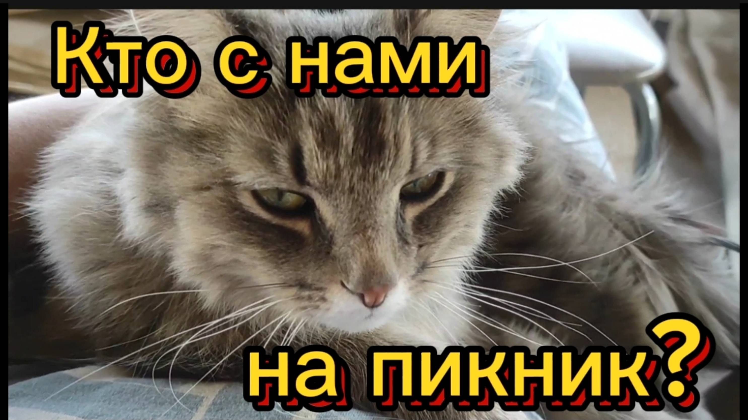 Кто с нами на пикник? 💞