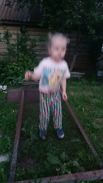 Мой деревенский батут