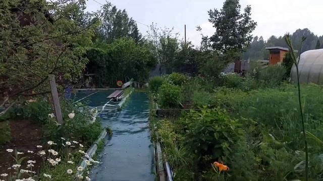 Дела на даче/Наконец-то дождались первый урожай огурц?