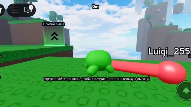 Лягушка 🐸 община 2йх