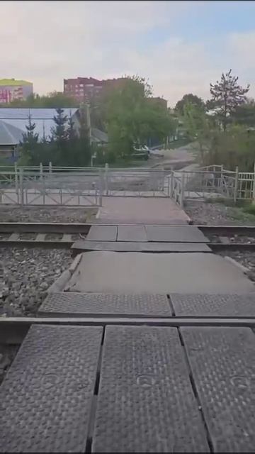 VID-20250506-WA0007.mp4