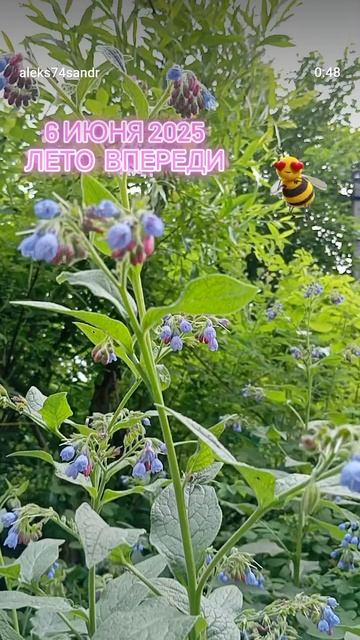 Лето лето 🌞🌴🏄🎇
июнь 25 ⛱️☀🌿🧡