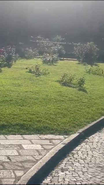 Июньский сад роз в Риме