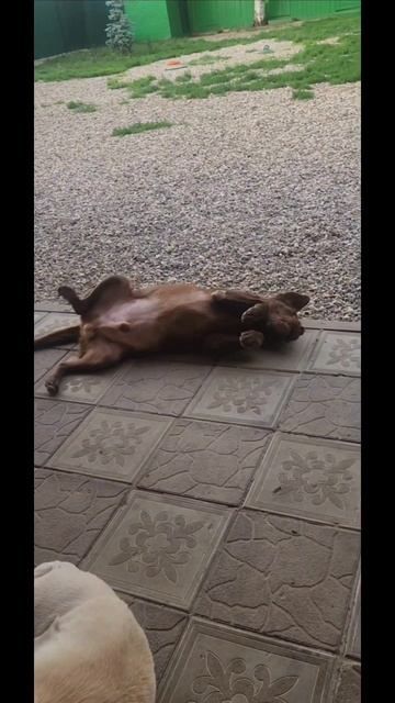 1000476276.mp4