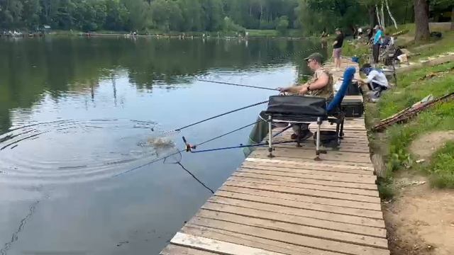 Карпевич