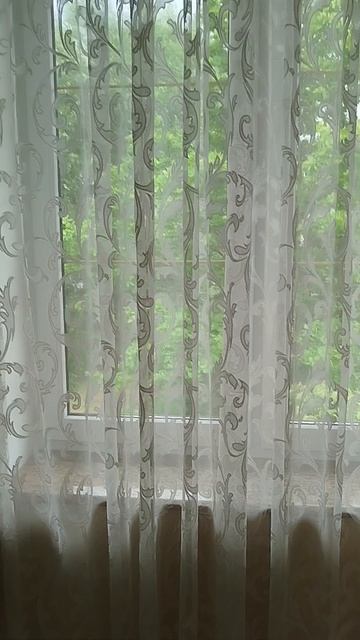 дом в Калининграде