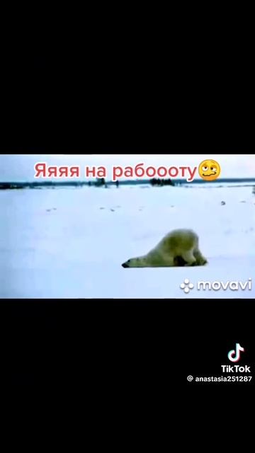 1000099452.mp4
