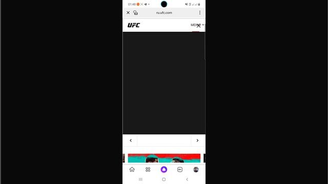 UFC APEX. ГАСТЕЛУМ VS КАННОНИР. ТУРНИР. ПРОГНОЗ НА БОИ. СТАВ?