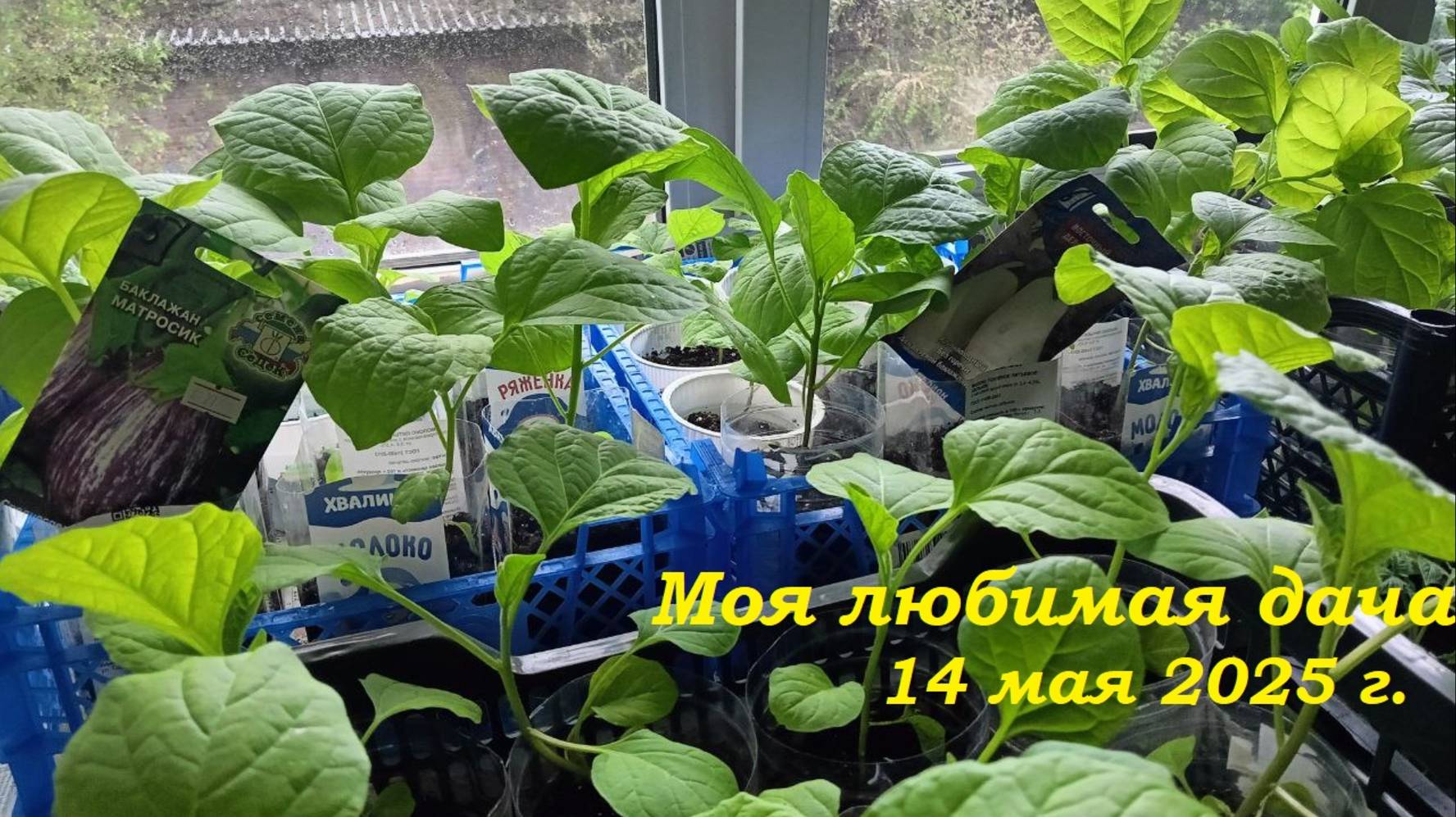 14.05.2025 _ Моя любимая дача