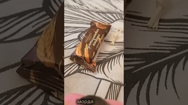 Лёля и арабы. я новый Лёлькинс