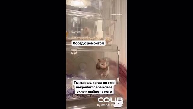 ТИКТОК 160 - ПОДБОРКА МЕМОВ