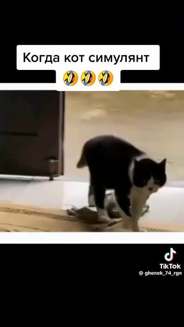 1000097381.mp4