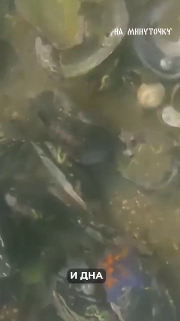 😳 Не проходите мимо — для вас сразу две хорошие новости