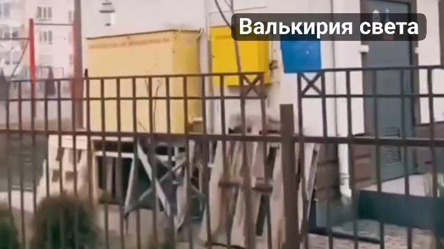 VID_20250224_160336_563.mp4
