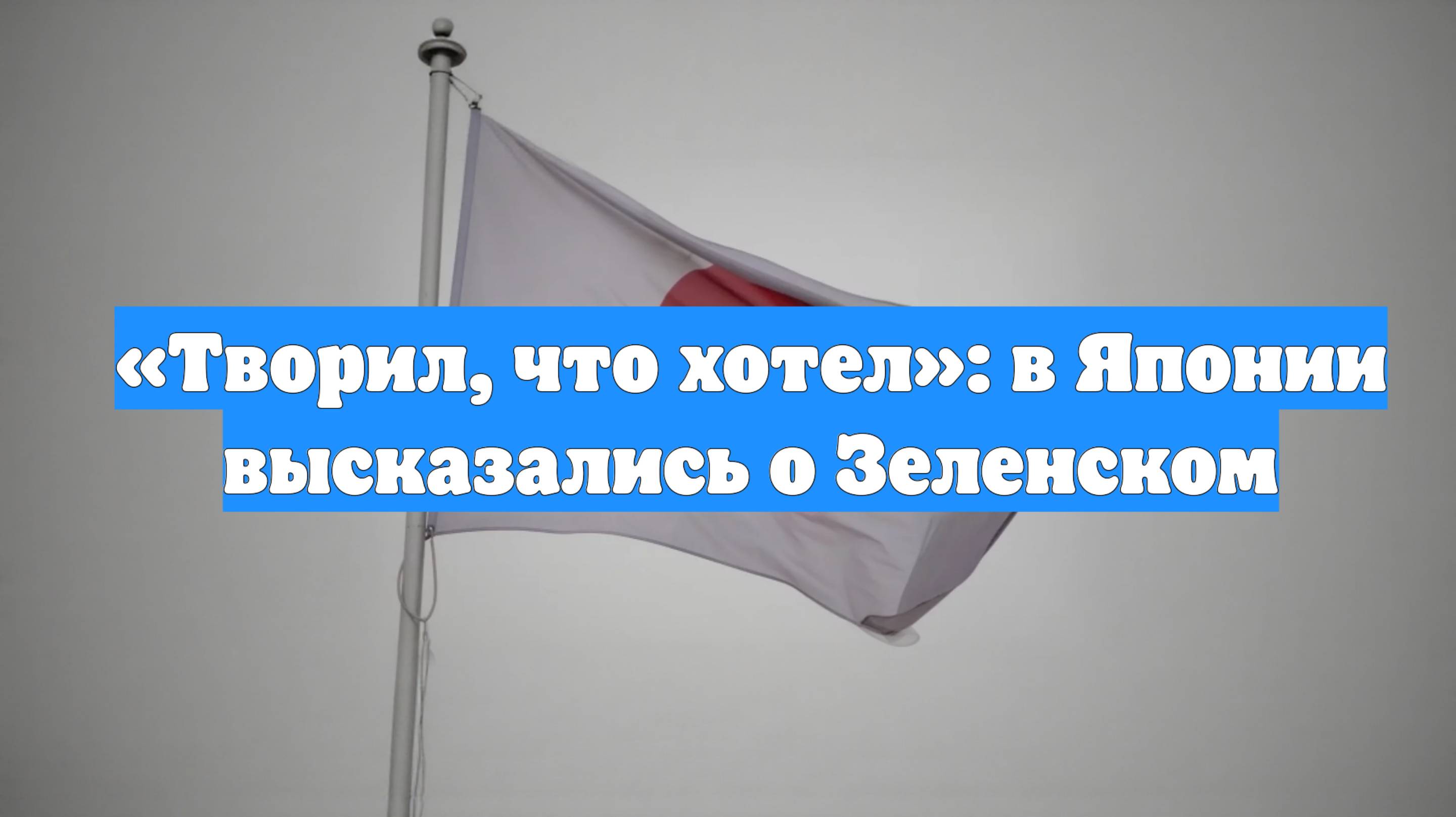 «Творил, что хотел»: в Японии высказались о Зеленском