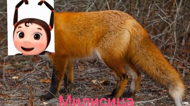Лунтик + ШИЗА =