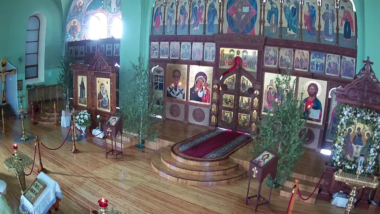 Трансляция 07.06.2025 08:00