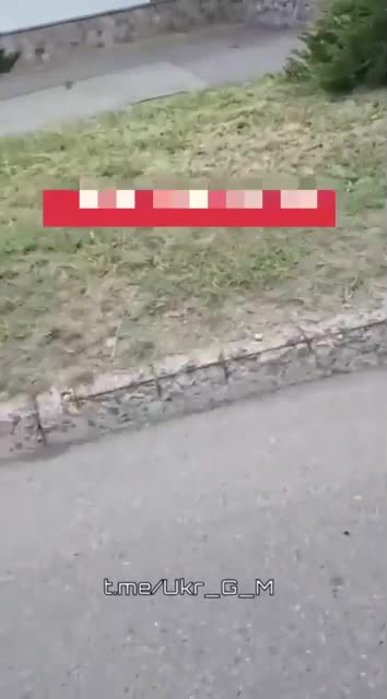 Отлов пушечного мяса на Украине идет полным ходом.