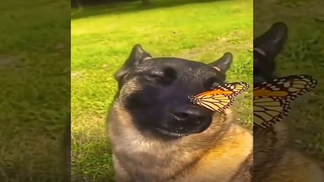 video_2025-06-04_12-00-29