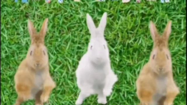 1000008699.mp4